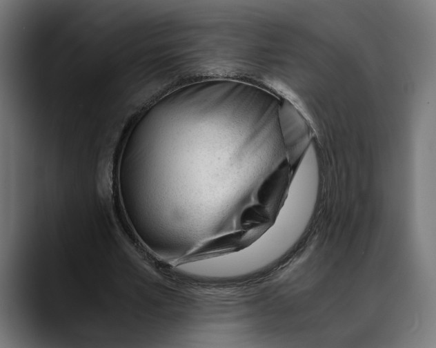 X0000088910581200707061347