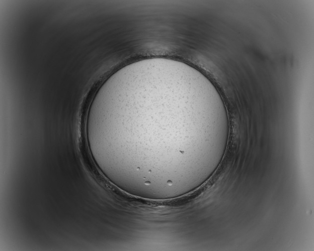 X0000088910582200707061347