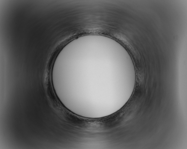 X0000088910583200707061347