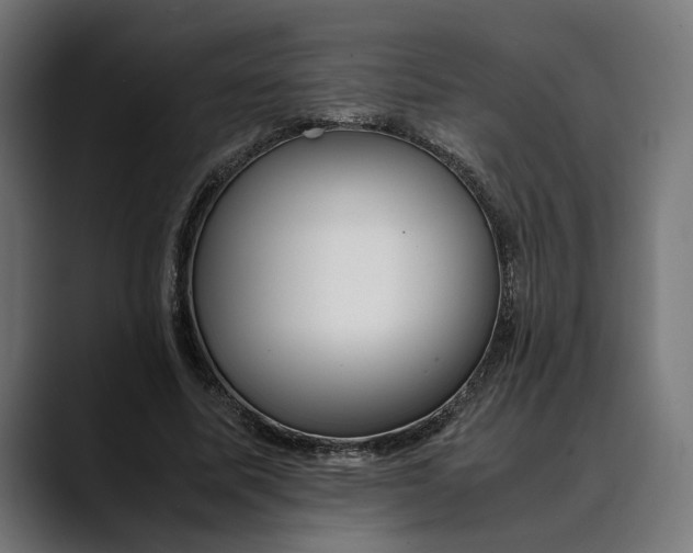 X0000088910587200707061347