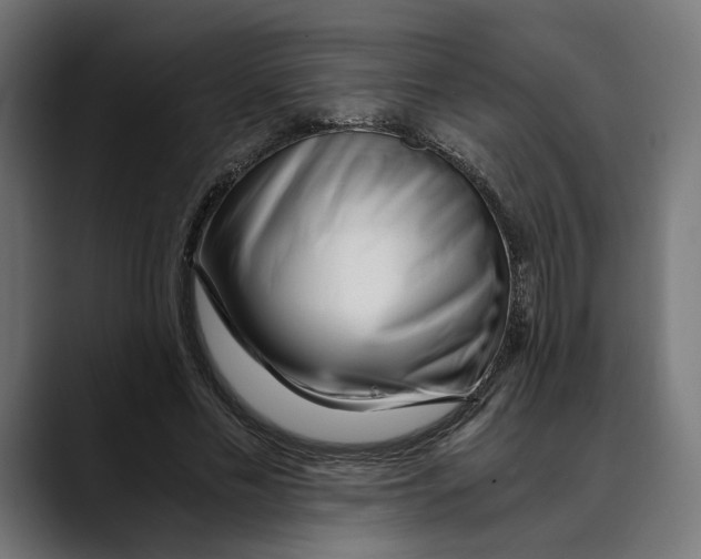 X0000088910589200707061347