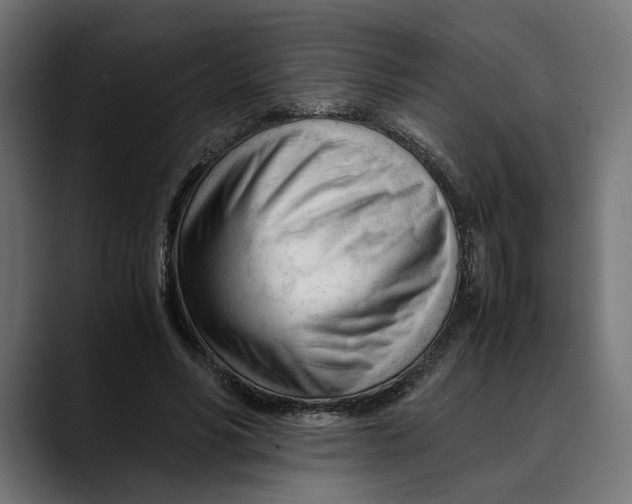 X0000088910590200707061347