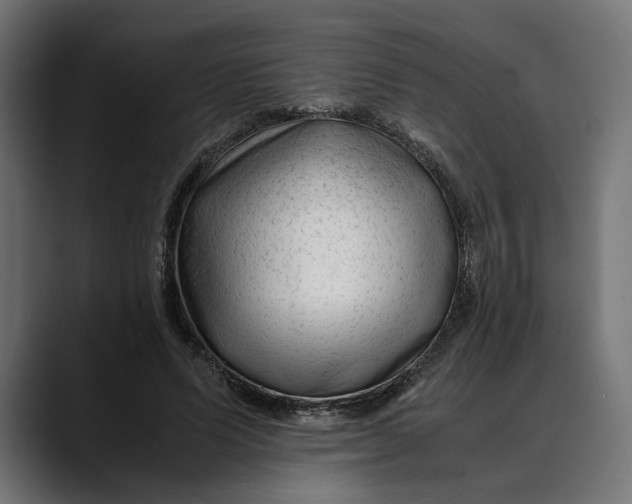 X0000088910591200707061347