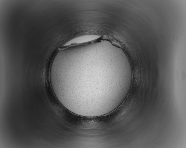 X0000088910594200707061347