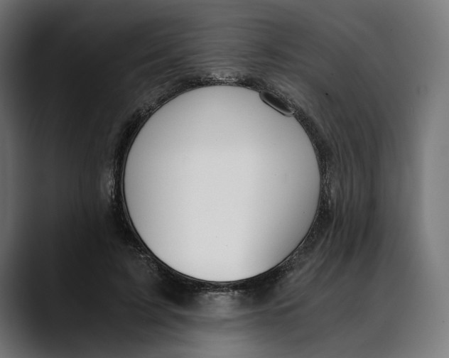 X0000088910595200707061347