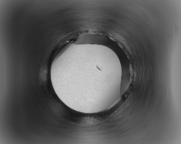 X0000088910596200707061347