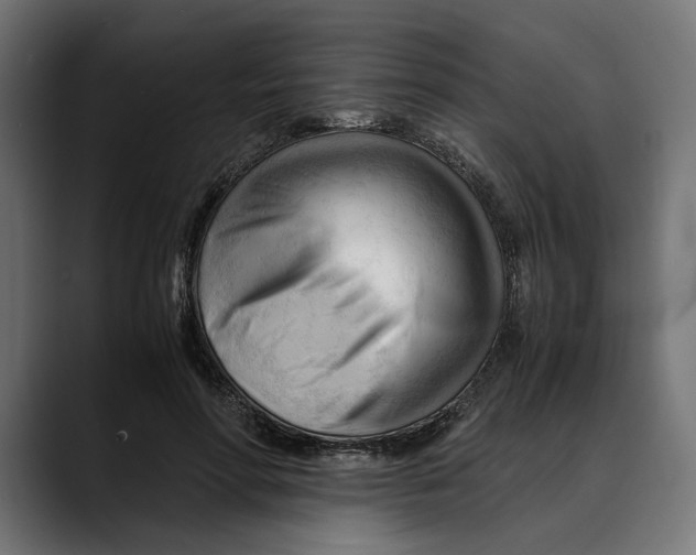 X0000088910598200707061347