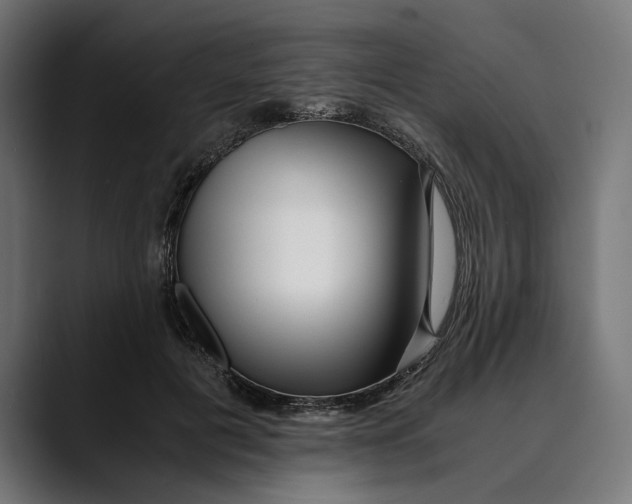 X0000088910601200707061347