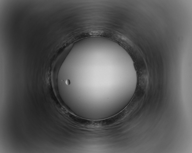 X0000088910604200707061347