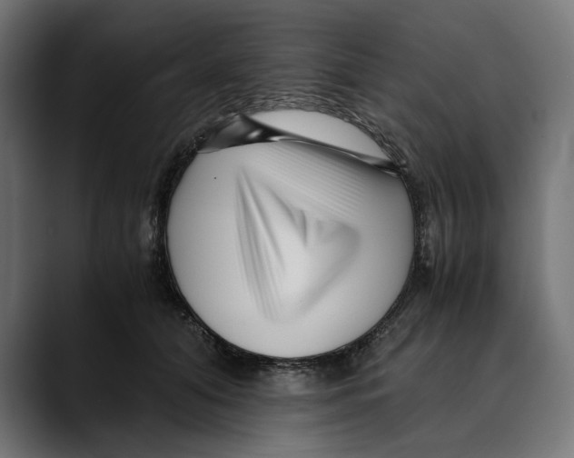 X0000088910608200707061347