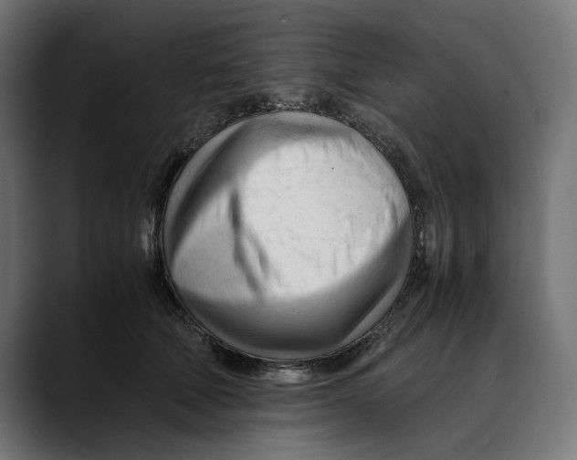 X0000088910610200707061346