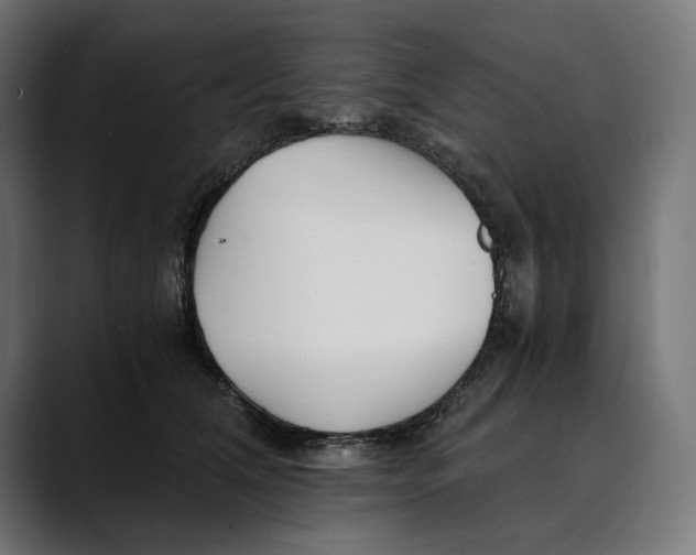 X0000088910612200707061346