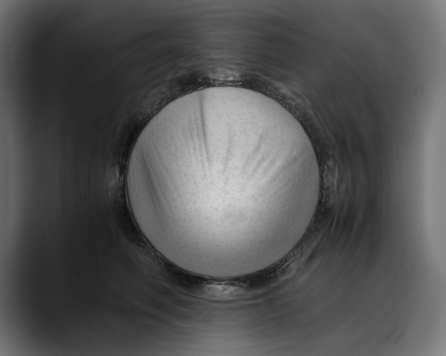 X0000088910614200707061346