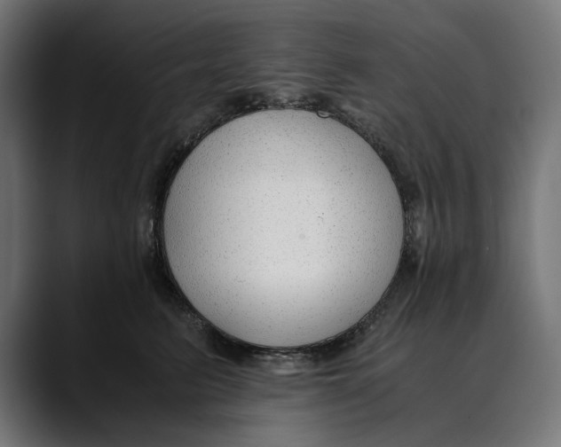 X0000088910615200707061346