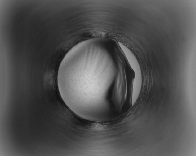 X0000088910616200707061346