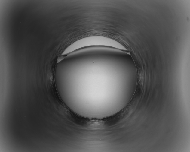 X0000088910617200707061346