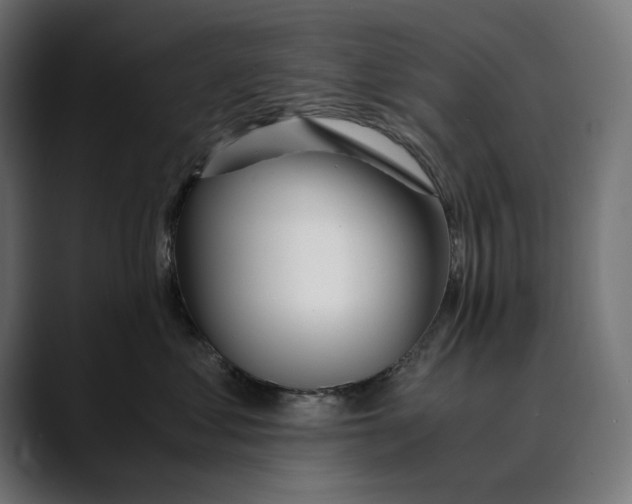 X0000088910621200707061346