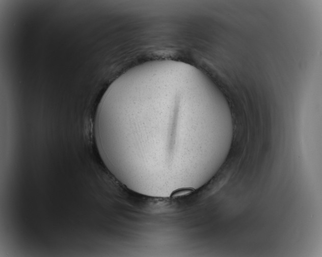 X0000088910624200707061346