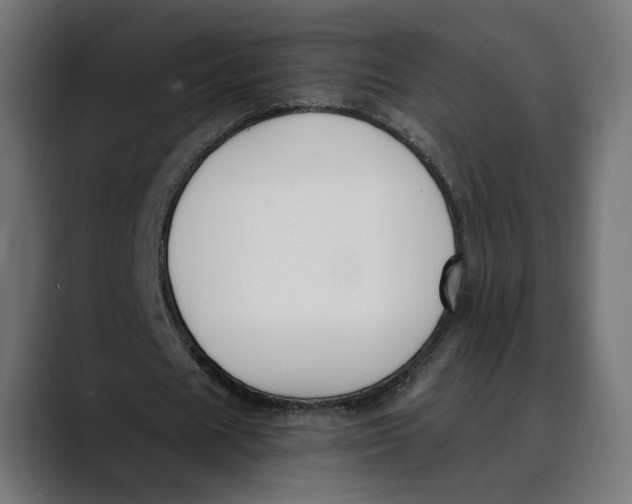 X0000088910625200707061346