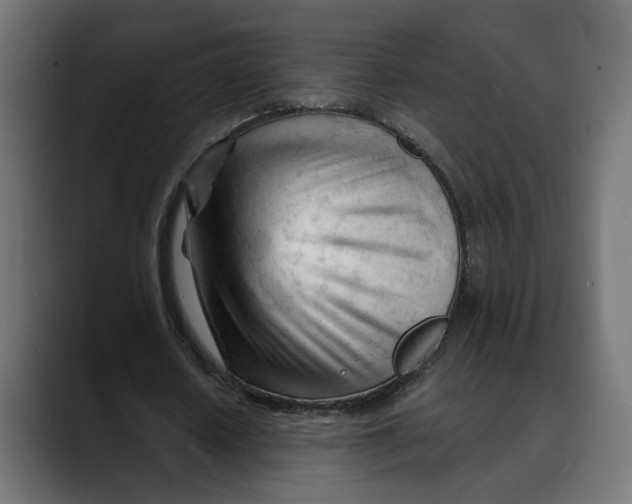 X0000088910626200707061346