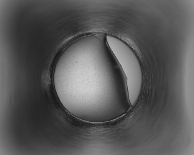 X0000088910628200707061346