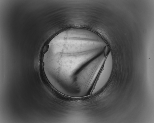 X0000088910630200707061346