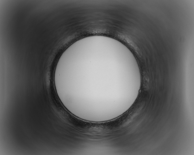 X0000088910631200707061346