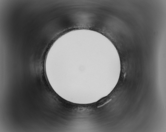 X0000088910632200707061346