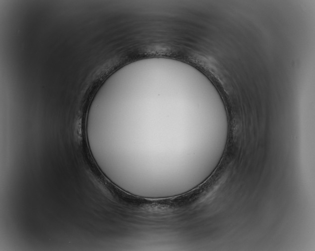 X0000088910633200707061346