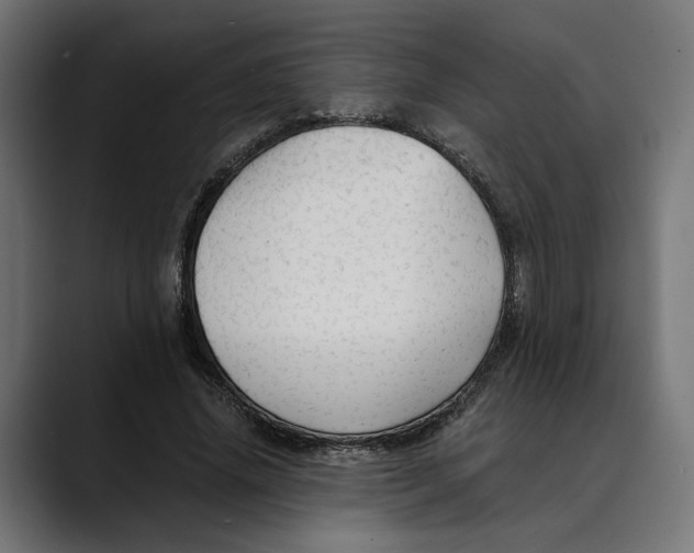 X0000088910636200707061346