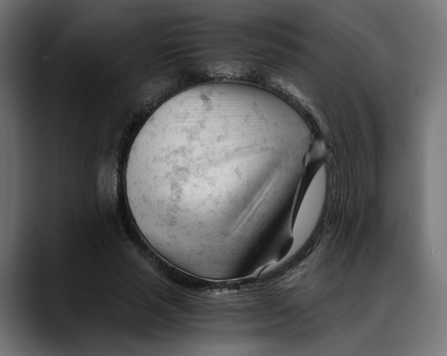 X0000088910637200707061346