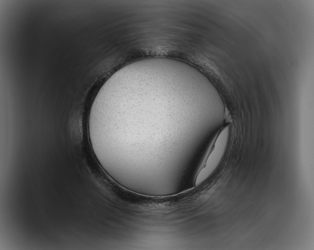 X0000088910638200707061346