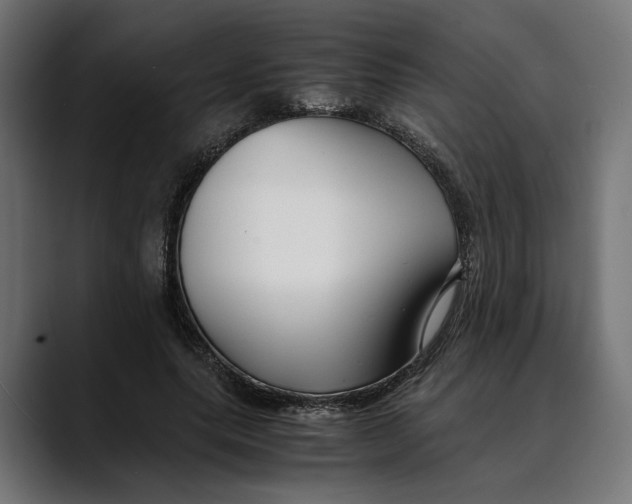 X0000088910639200707061346