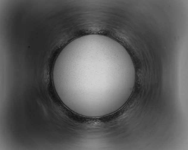 X0000088910642200707061346