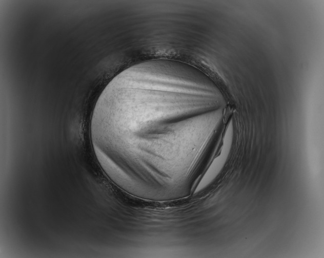 X0000088910643200707061346