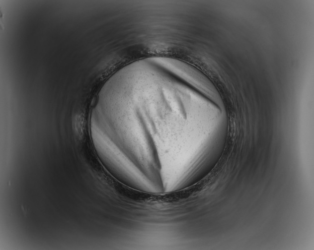 X0000088910648200707061346