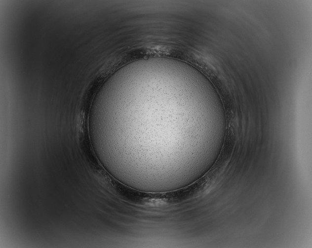 X0000088910649200707061346