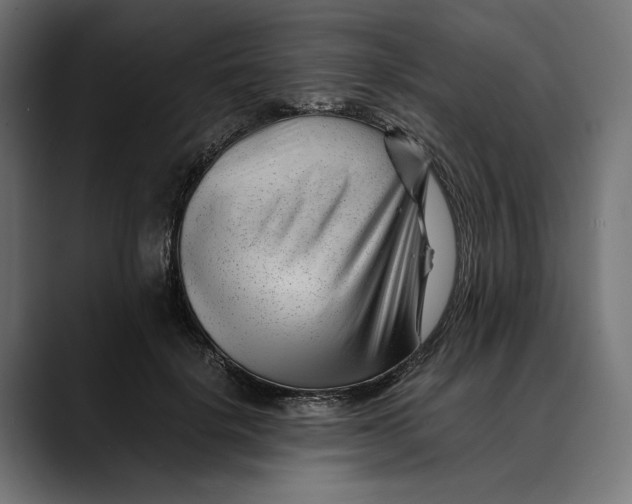 X0000088910652200707061346