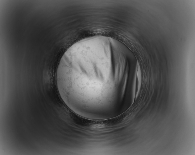 X0000088910653200707061346