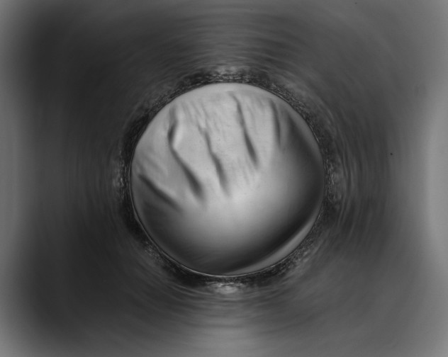 X0000088910654200707061346