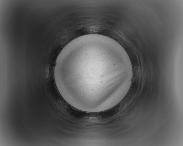 X0000088910655200707061346