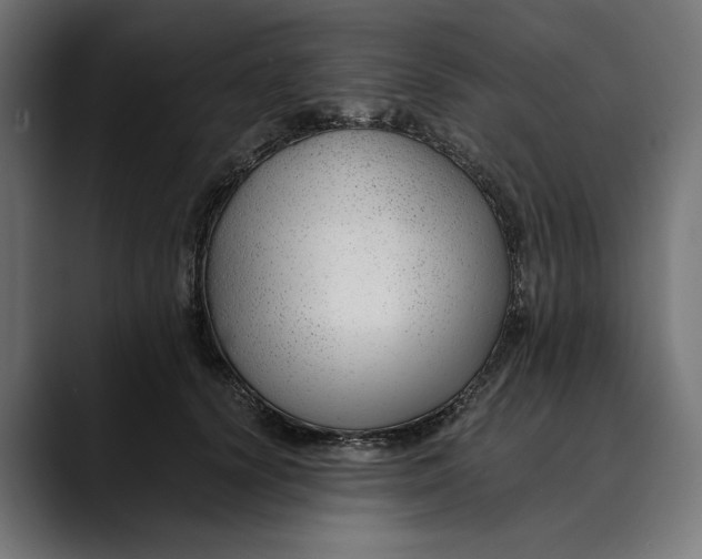 X0000088910656200707061346