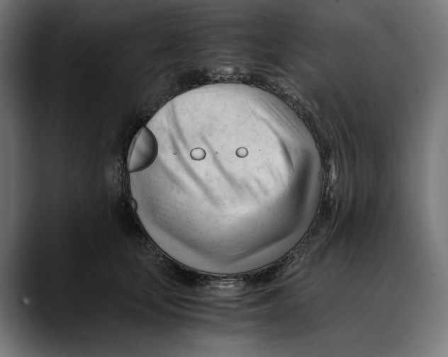 X0000088910659200707061346