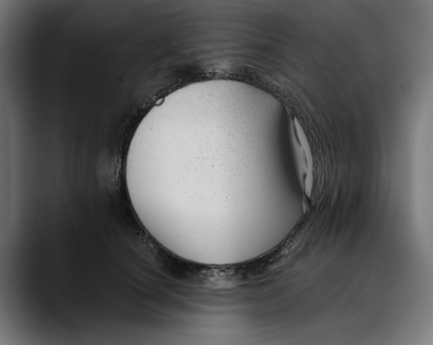 X0000088910660200707061346