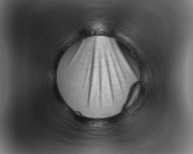 X0000088910661200707061346