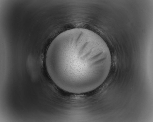 X0000088910664200707061346