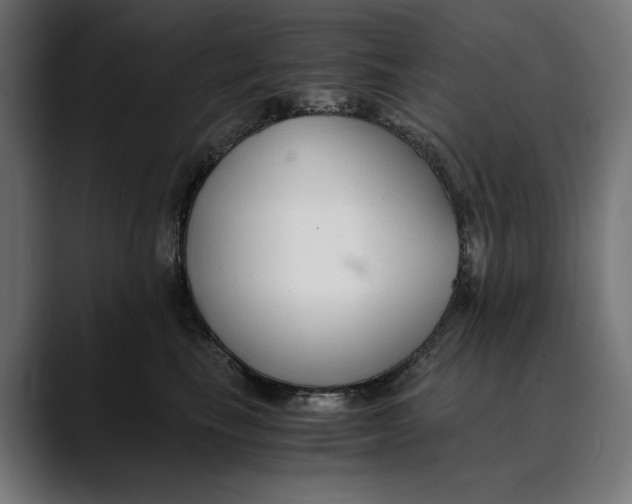 X0000088910665200707061346