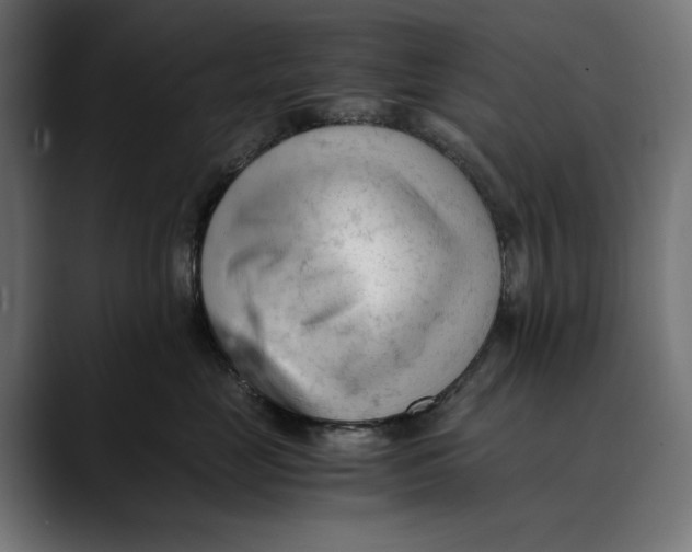 X0000088910669200707061346