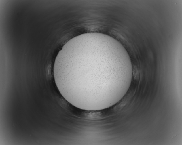 X0000088910670200707061346