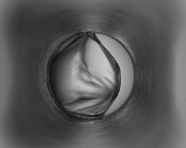 X0000088910673200707061346